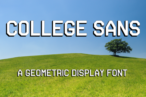 College Sans: A Modern Typeface for Editorial Design