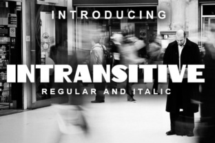 Intransitive: The Elegant Retro Typeface for Modern Brands