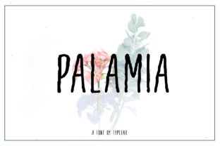 Reviewing Palamia: The Striking Display Font You Need