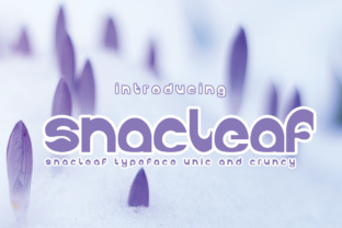 Snackleaf: The Bold Display Font for Scroll-Stopping Campaigns