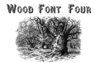 Wood Four: A Natural Display Font for Editorial Design